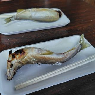鮎(鮎芳 )