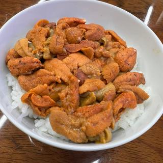 バフン雲丹丼(小川水産㈱)