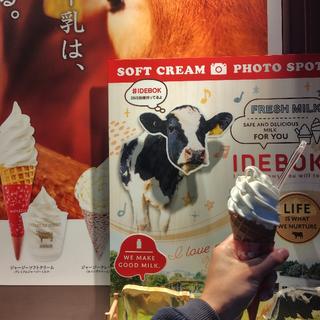 プレミアムソフトクリーム(イデボク 御殿場プレミアムアウトレット店)