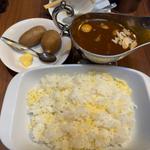 ホタテカレー(ガヴィアル )