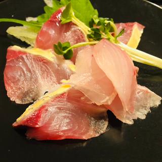 沖あじと黒星フエダイの刺身_刺身定食(ずぼらや四季)
