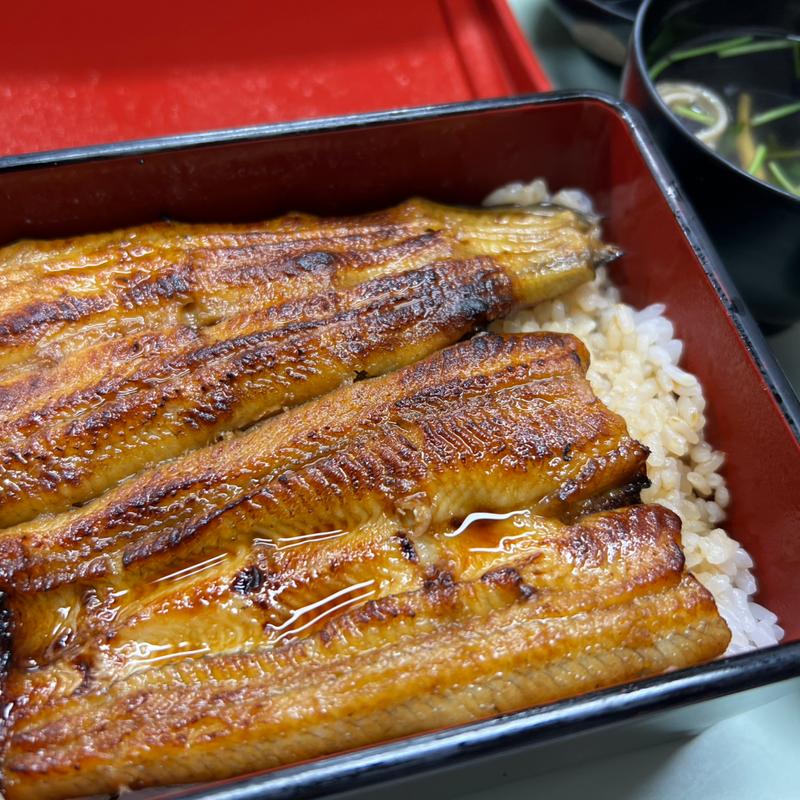 うな重 上(鯉とうなぎのまるます家 総本店)