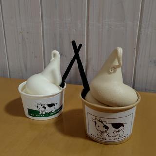カウヒーソフト