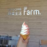 トマトソフトクリーム ミックス