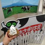 ミルクチーズケーキソフト(あさぎり牛乳工房 )