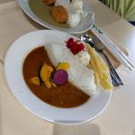 甘口ダムカレー