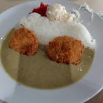 黒部ダムカレー(黒部ダムレストハウス )