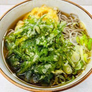 ゴボウ天春菊天そば