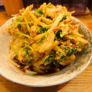 小海老と三つ葉かき揚げうどん