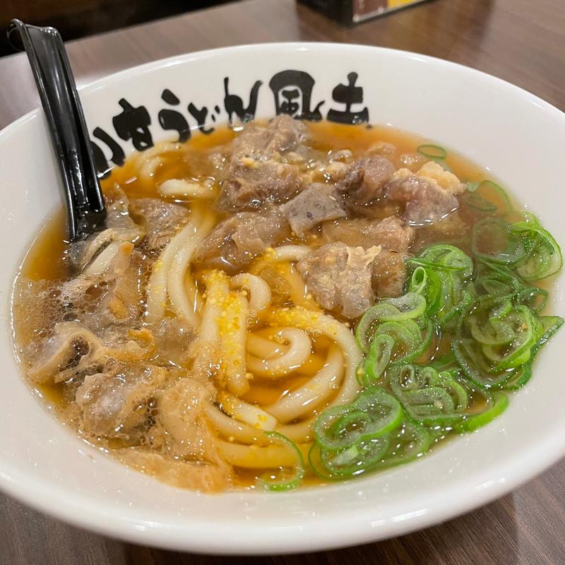 牛すじうどん(かすうどん 風土)