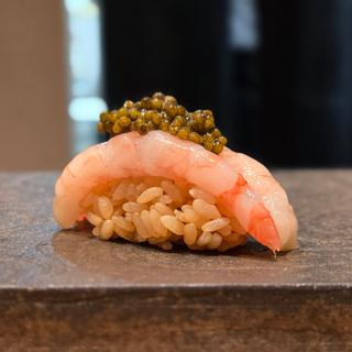 甘海老 キャビア乗せ(寿司赤酢・大阪なんばPREMIUM)