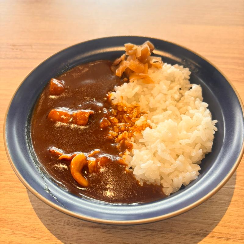 ポークカレー(美食ノ極)