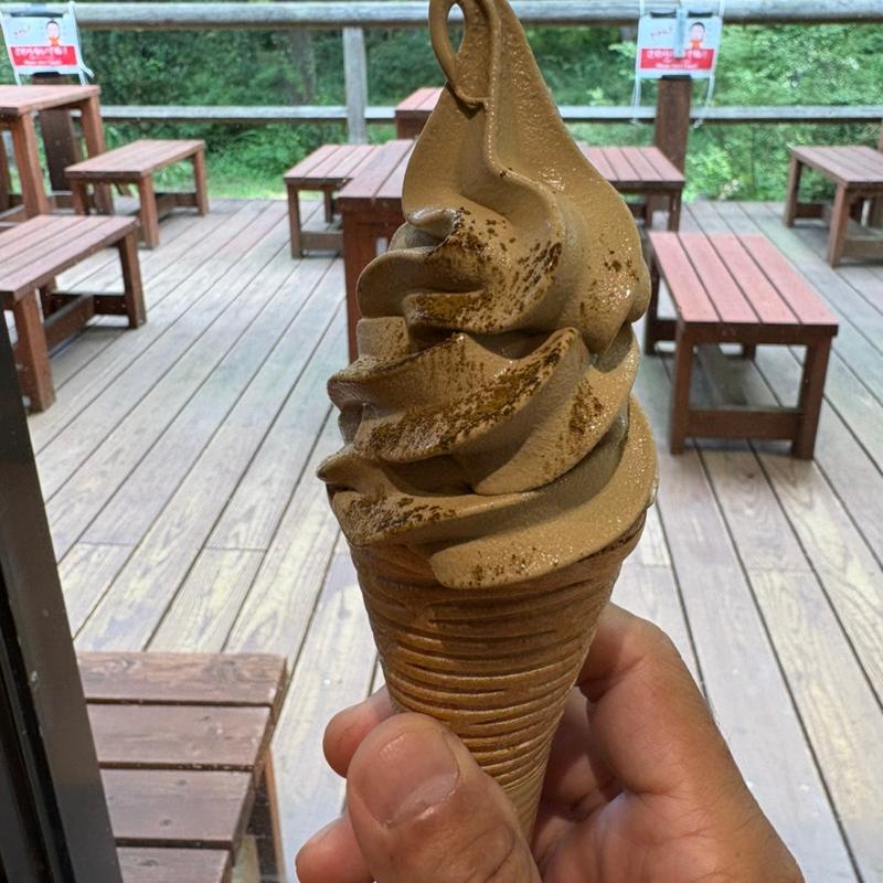 ほうじ茶ソフトクリーム(国営ひたち海浜公園)