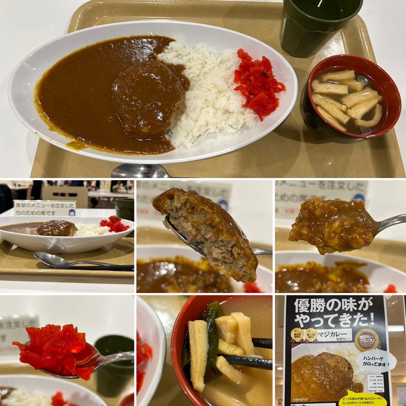 マジカレー監修カレー(新宿区役所　お食事処けやき)