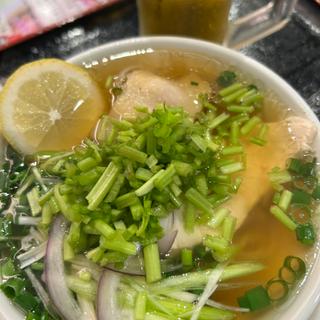 鶏フォー+パクチー茎(フォーシンタスキッチン(はちまん餃子))