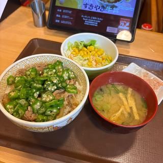 かつぶしオクラ牛丼（並）サラダセット(すき家 西新宿五丁目駅前店 )
