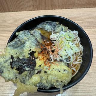 富士ヶ嶺産きくらげ天そば(彩むさし 武蔵浦和店)