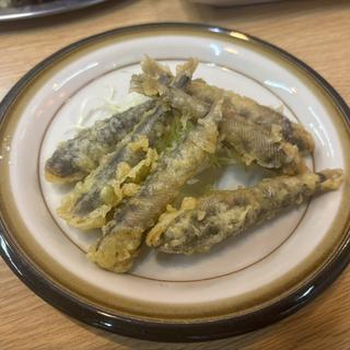 メヒカリの天ぷら(たかさご )