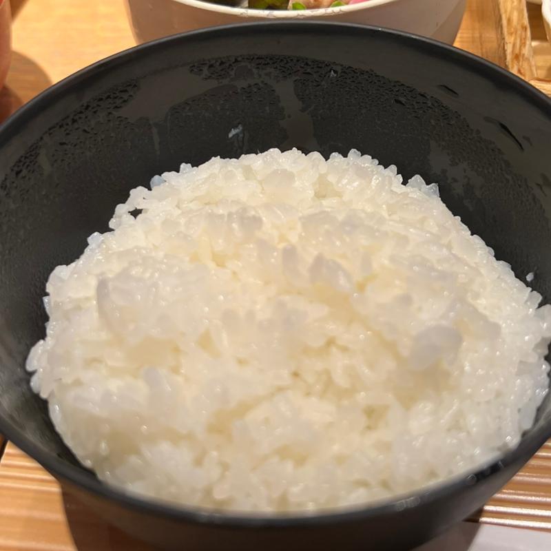 白米　皇室献上米　千葉多古産コシヒカリ(Hitoshinaya（ひとしなや）)