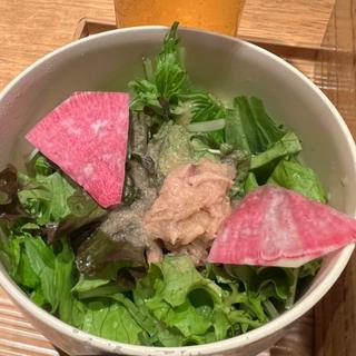 季節の野菜サラダ(Hitoshinaya（ひとしなや）)