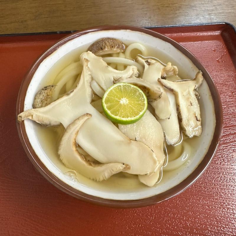 松茸うどん(小)(まいどまいど )