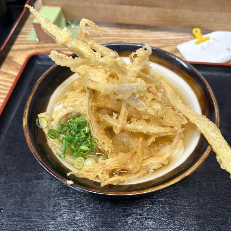 ごぼ天うどん(手打ちうどん来輝（らいき）)