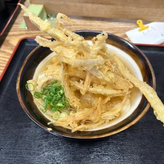 ごぼ天うどん(手打ちうどん来輝（らいき）)