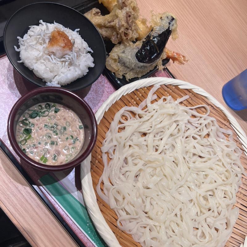 Bセット（胡麻ざるうどん+しらすごはん+天ぷら）(うどん家 八重桜)