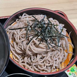 タレかつ丼、ミニざるそばセット