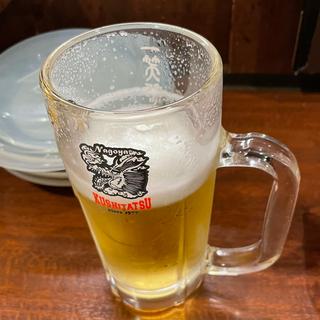 生ビール(本格炭火焼き鳥＆博多もつ鍋 串たつ 名古屋駅本店)