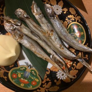 ししゃも(旬蔵 上野本店)