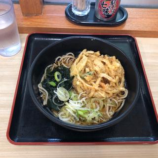 かき揚げ天そばライト(名代 箱根そば 祖師谷大蔵店)