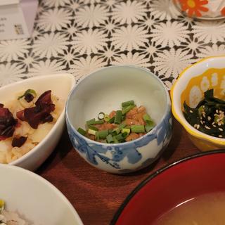 今日のメニュー