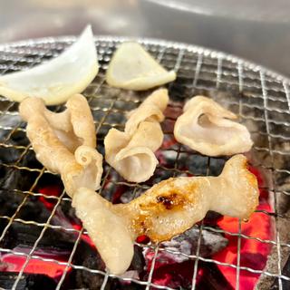 ホルモン(金太の金太)