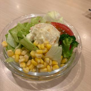 彩りサラダ(ジョイフル桶川店)