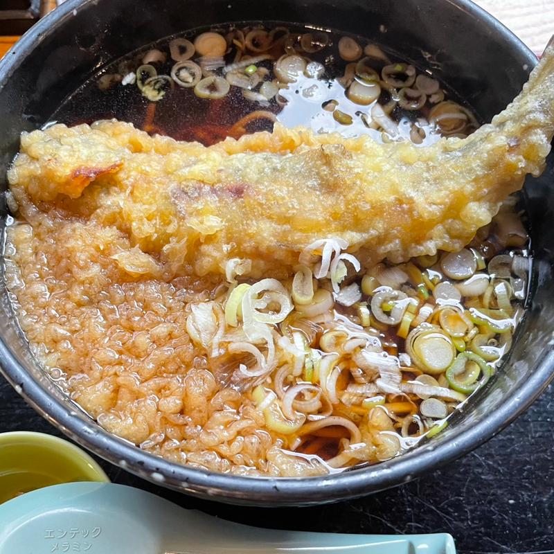 あゆ天そば(ヤナ茶屋もがみ )