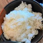 半ライス(一蘭 一蘭の森店 )