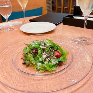 グリーンサラダ