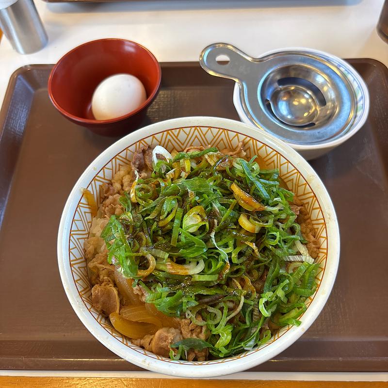 ねぎたま牛丼　特(すき家 49号阿賀野水原店 )