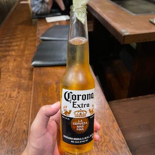 コロナ(おしお 居‐ima‐店 )