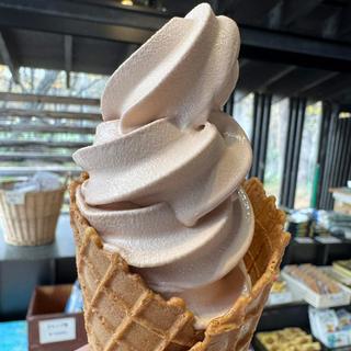 栗ソフト(奥社の茶屋 (おくしゃのちゃや))