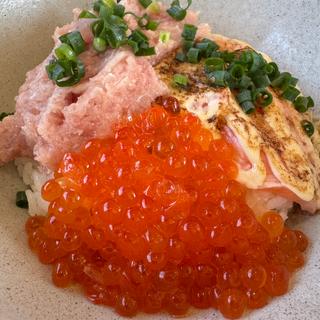 ヨクバリ丼(川野鮮魚店 鮮味)