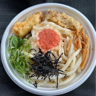 明太とろろぶっかけうどん弁当(香の川製麺 枚方招提店)