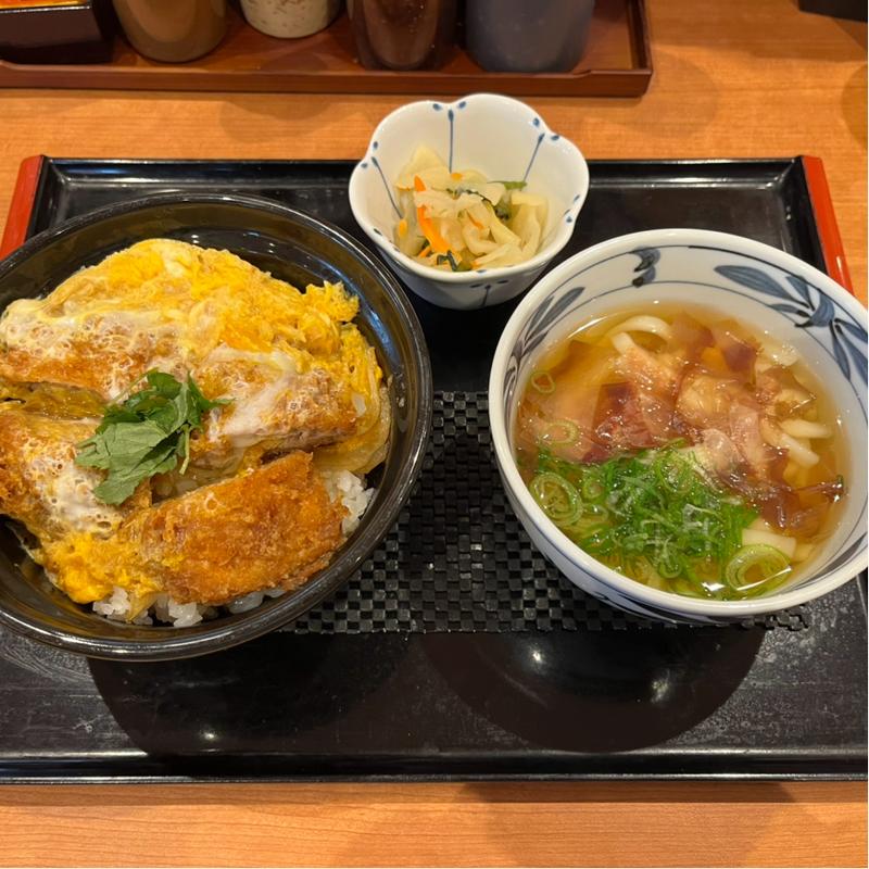 ヒレカツ丼　漬物セット　温うどん(ごはん処 かつ庵 泉南岡田店)