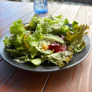 サラダ