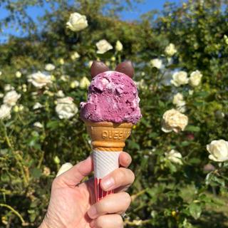 猫みみジェラート