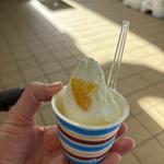 レモンのジェラート(アイスクリーム プチシャンテリー)