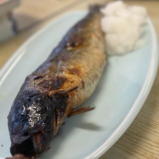 炭火焼き　にしん(青塚食堂)