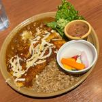 スパイシーチキンエンチャレーダ