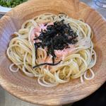 たらこスパゲッティ(サイゼリヤ 新潟紫竹山店 )